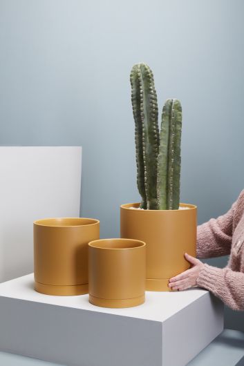 mustard plant pot Romey Pot