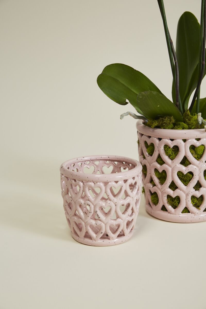 Cherished Hearts Orchid Pot