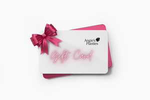 Angie's Planties Gift Card