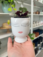 Load image into Gallery viewer, Celfie Pot

