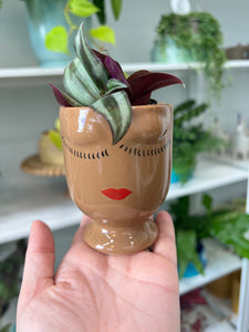 Celfie Pot