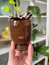 Load image into Gallery viewer, Celfie Pot
