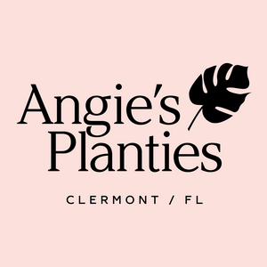 Angie's Planties Gift Card